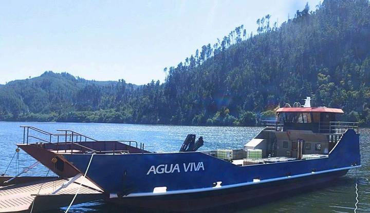 Agua Viva