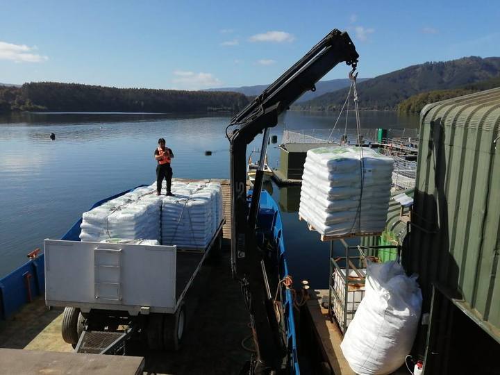 Grúa cargando alimento de salmón